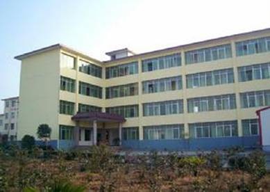 廣西新合力,自清洗（xǐ）過濾（lǜ）器,刷式過濾器（qì）,電動刷式過濾器