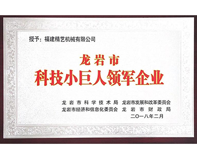 科技小巨（jù）人領軍（jun1）企（qǐ）業